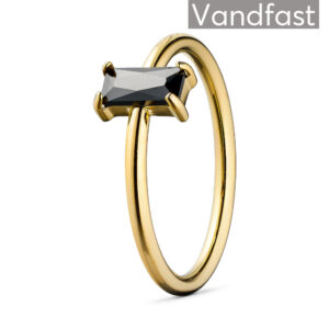 ANNEBRAUNER Deluxe Petite Black Ring 18K Guldbelagt - 48