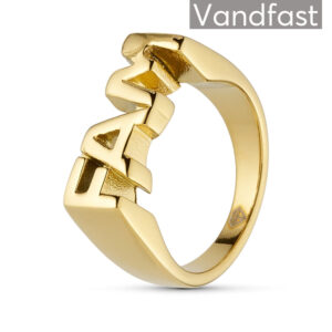 ANNRBRAUNER FAM Ring 18K Guldbelagt - 51