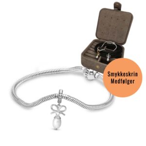 Christina Jewelry Celebrate charms armbånd kampagne sølvarmbånd til charm