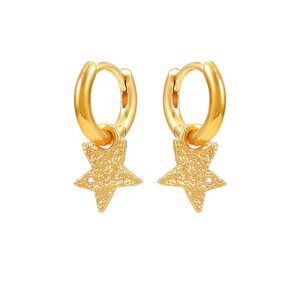 Hultquist Astra øreringe i forgyldt med stjernevedhæng