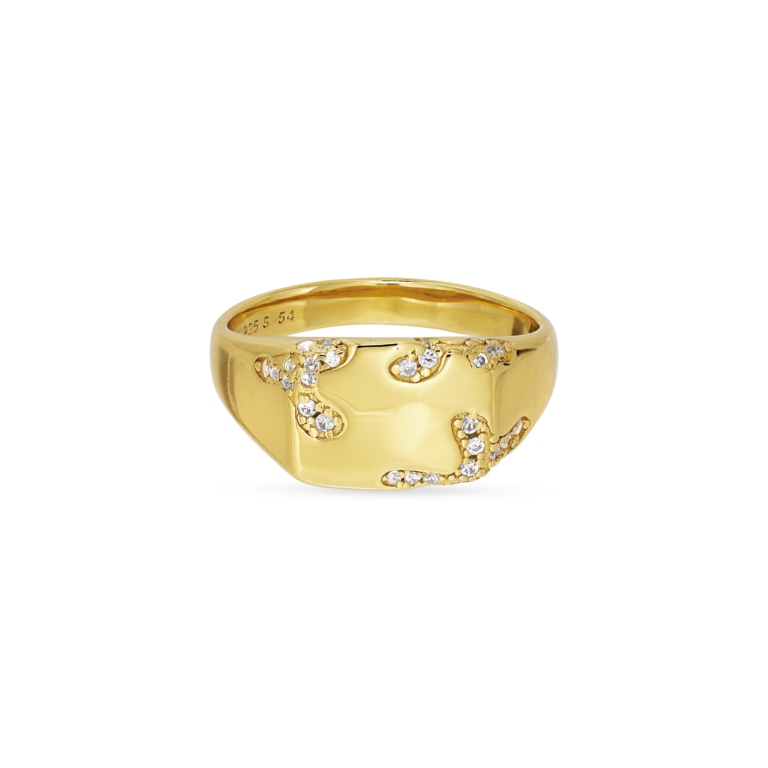 Iced Signet ring - forgyldt