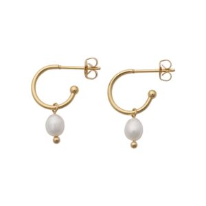 Mini Pearl øreringe - forgyldt