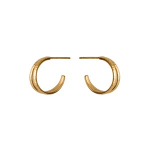 Poetry hoops - forgyldt