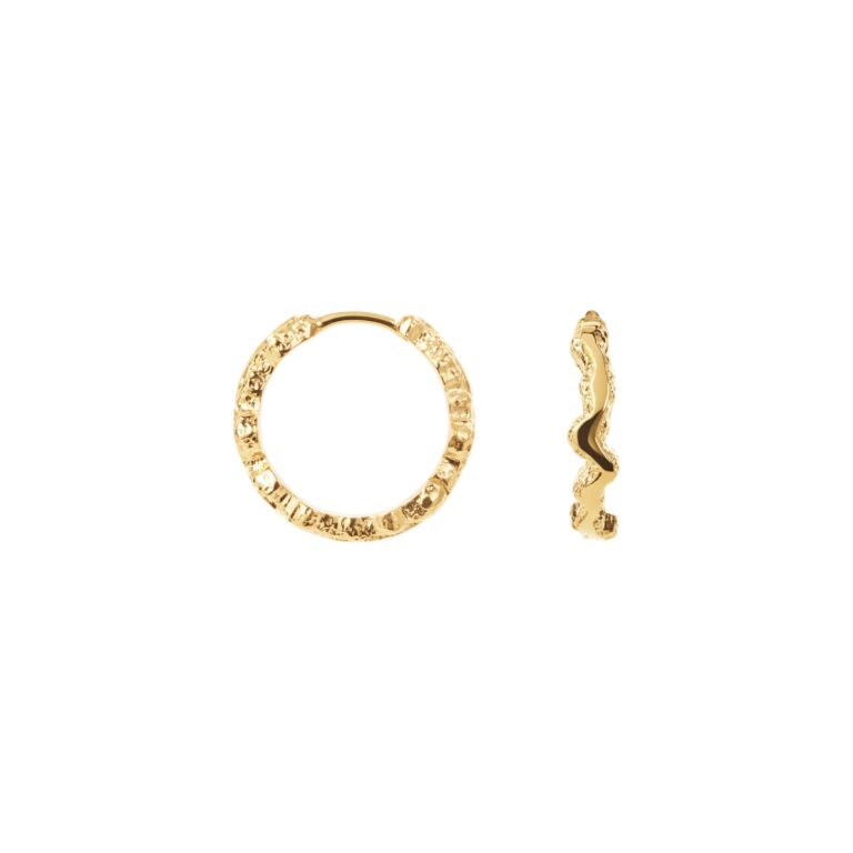 Small Shiny Sparkly hoops - forgyldt
