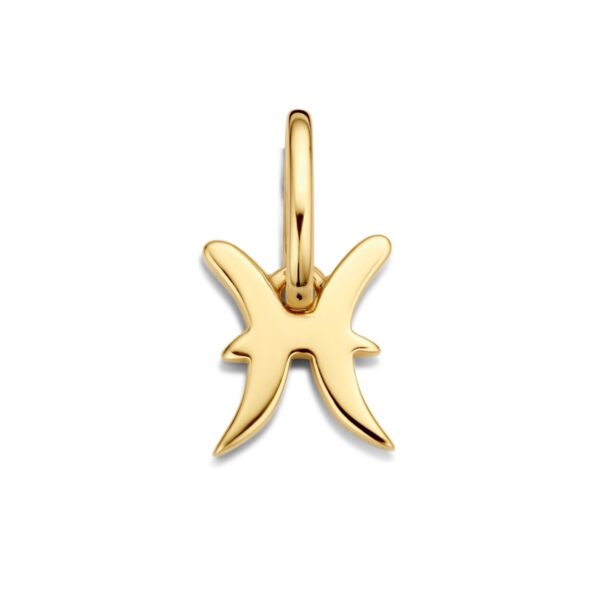 Spirit Icons Stjernetegn Fisken Forgyldt Sølv Vedhæng