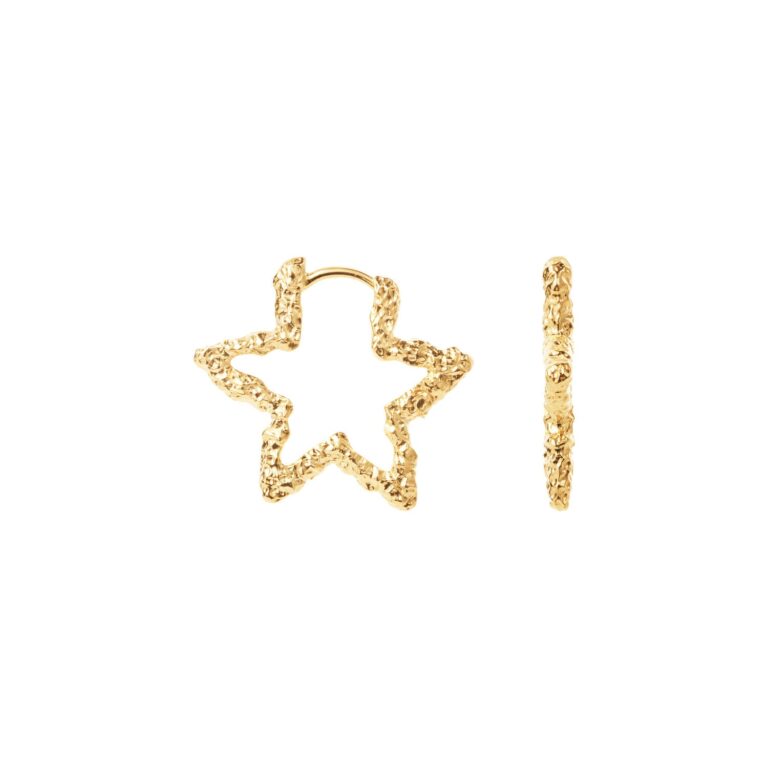 Star Sparkly hoops - forgyldt