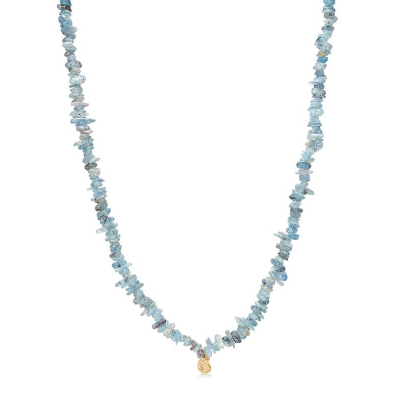 Studio Z Seashell Secrets halskæde i forgyldt