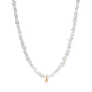 Studio Z Starfish Lustre halskæde i forgyldt